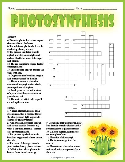 Photosynthesis Puzzle .